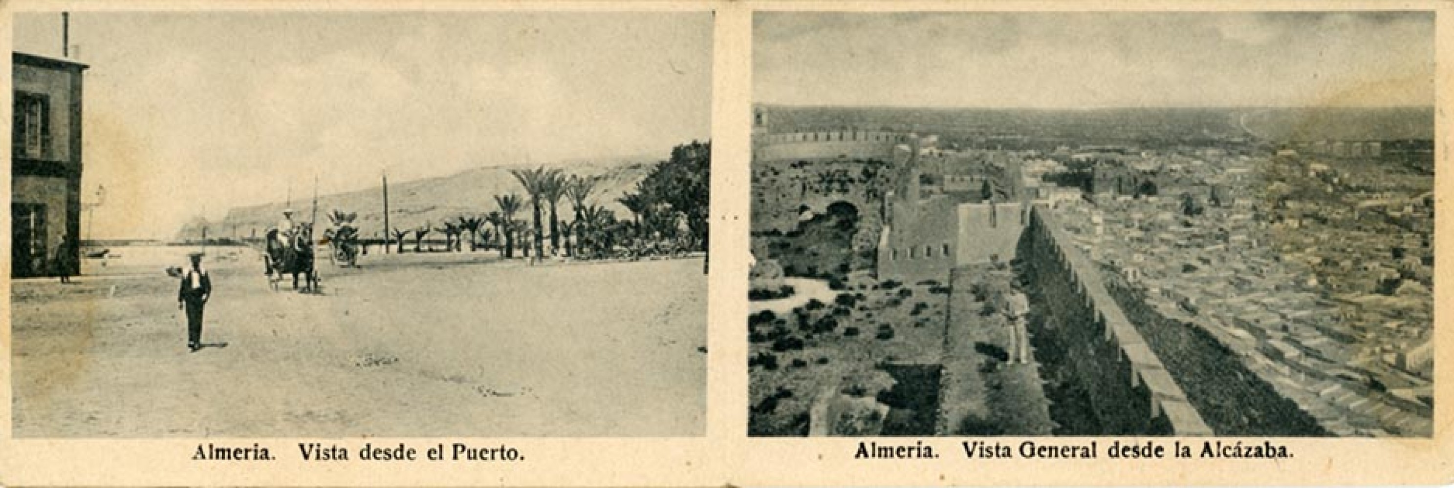 P 06.jpg